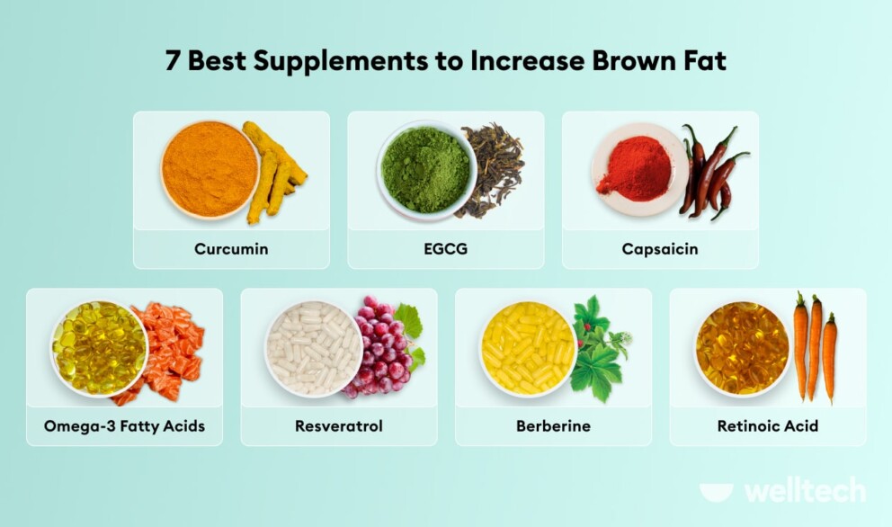 infographics illustrating 7 supplements to increase brown fat like Curcumin, EGCG, Capsaicin, 
Omega-3 Fatty Acids,
Resveratrol, Berberine, and Retinoic acid 