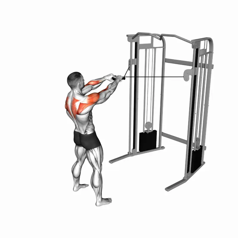 a man is performing cable standing face pulls_side delt exercises