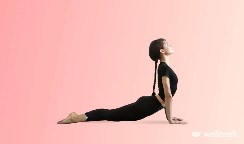a woman is practicing yoga, doing Upward Facing Dog (Urdhva Mukha Svanasana)_weight-loss yoga poses
