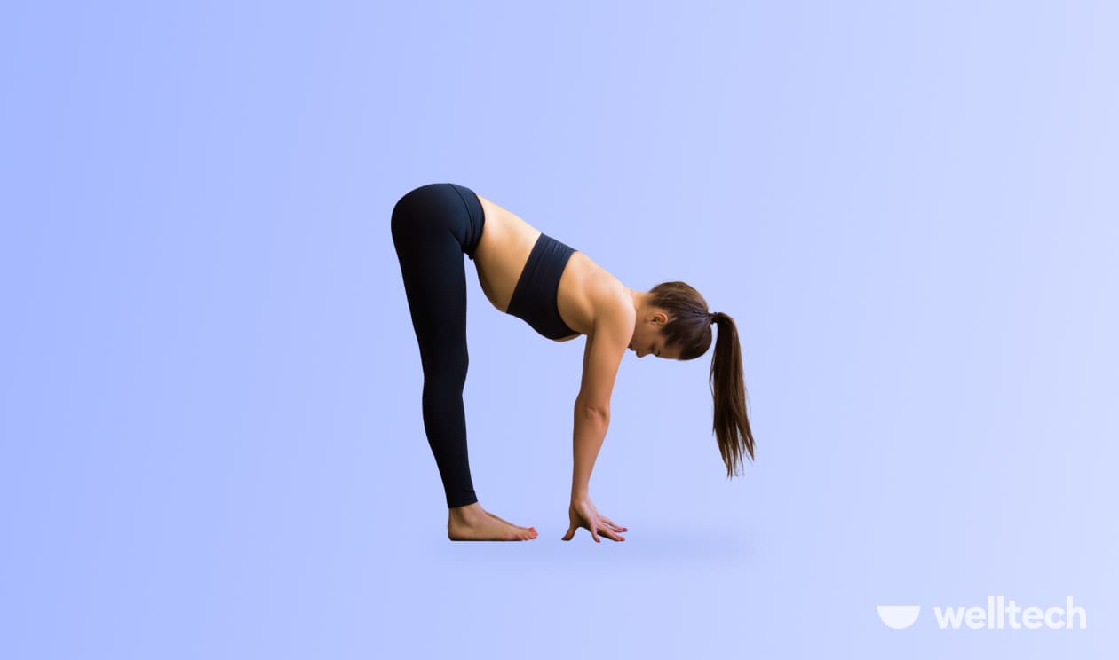 Premium Vector | Standing forward bend yoga pose young woman practicing  yoga exercise