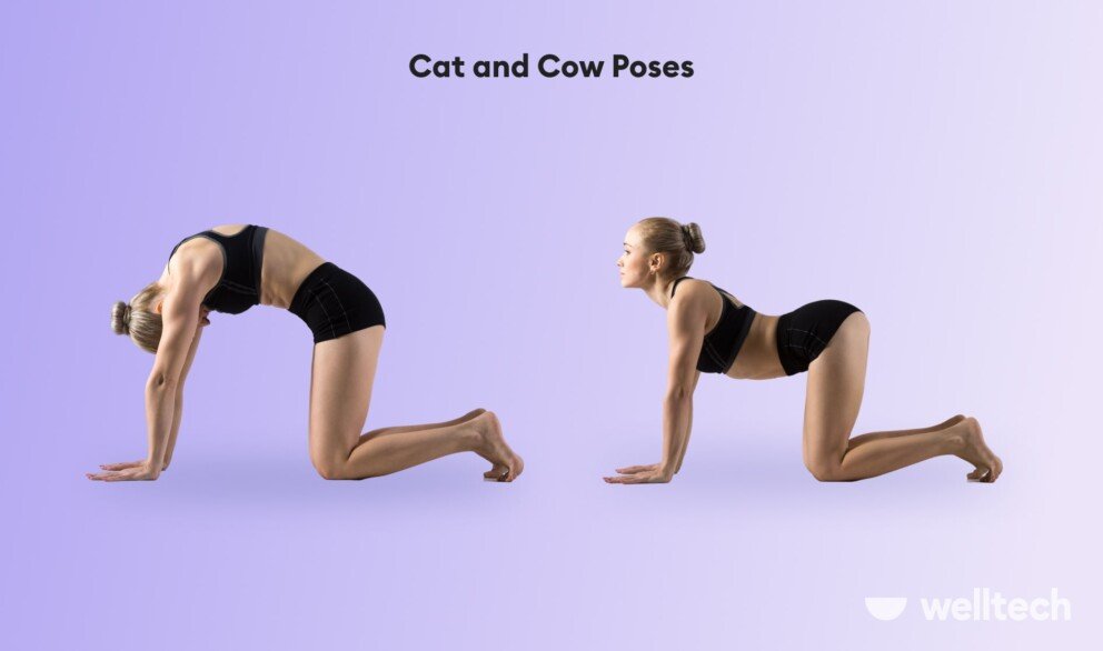 a woman is practicing yoga, doing Cat_and_Cow_Poses_yoga for posture
