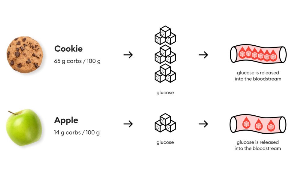 an illustration of how different carb foods elevate blood sugar levels, postprandial blood sugar
