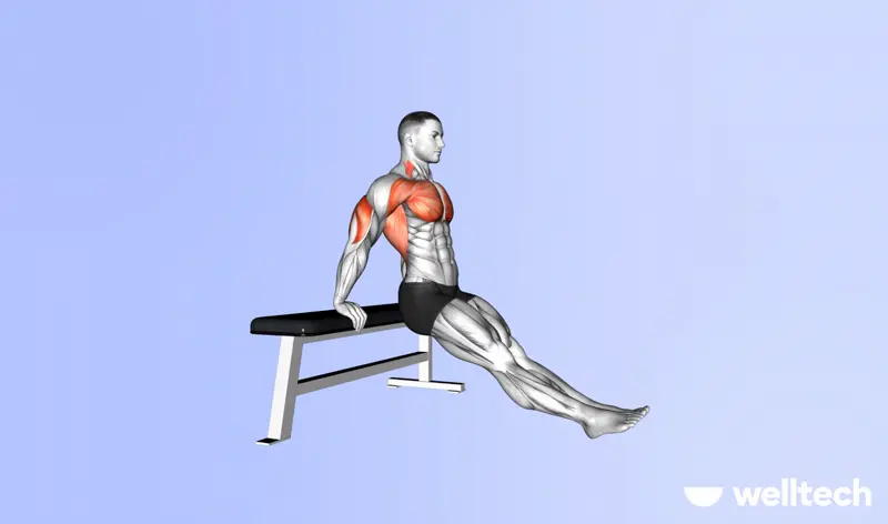 a male model is working out, performing bench_dips_push workouts