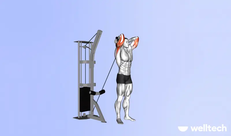 a male model is working out, performing cable_overhead_triceps_extension_push workouts