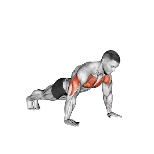An illustration of a person performing a push-up, highlighting the activated muscle groups. The muscles engaged are shaded in red, indicating the chest, shoulders, and triceps