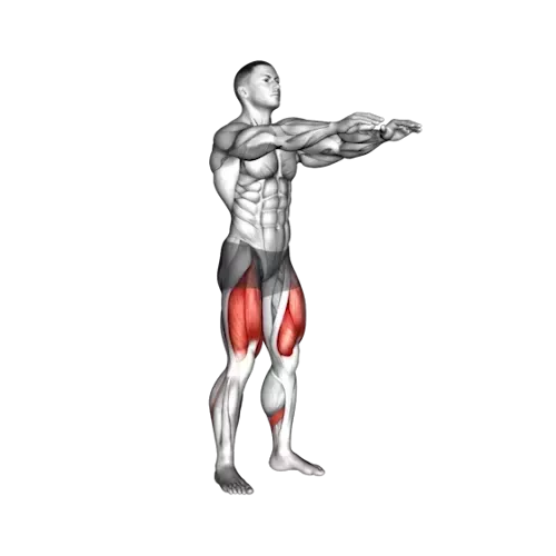 Illustration of a human figure performing a bodyweight squat. The individual is in a squat position with thighs parallel to the floor, back straight, and arms extended forward for balance. The muscles in the lower body, specifically the quadriceps and glutes, are highlighted in red to indicate the primary areas being worked during this exercise
