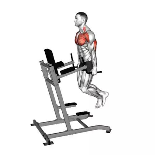 a person using a dip machine for triceps exercises. The activated muscles are highlighted in red, emphasizing the triceps and part of the lower pectoral muscles. The individual is shown in profile view, with arms bent at the elbows, pushing down on the machine's handles to lift their body. The machine is angled, with a padded backrest and arm pads