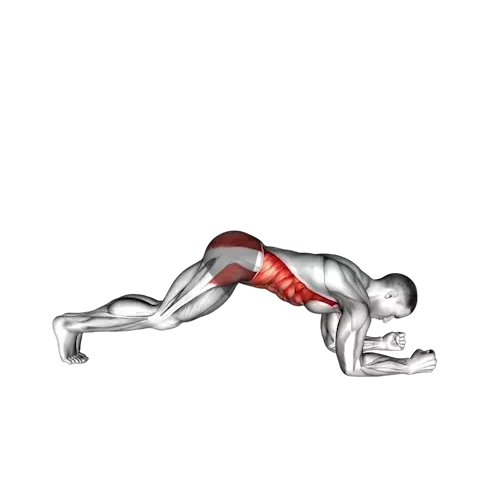 an individual performing a plank exercise. The core muscles engaged during the exercise are highlighted in red, specifically targeting the abdominal muscles. The person's body is in a straight line, parallel to the floor, supported on forearms and toes, which is the correct form for a plank