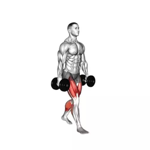 a person standing upright, holding dumbbells at thigh level in each hand, which is a starting position for many weight training exercises. The muscles being targeted are highlighted in red, indicating the biceps, forearms, and quadriceps. The individual is depicted with a neutral posture, looking straight ahead, and the muscles are detailed, showing a fit physique