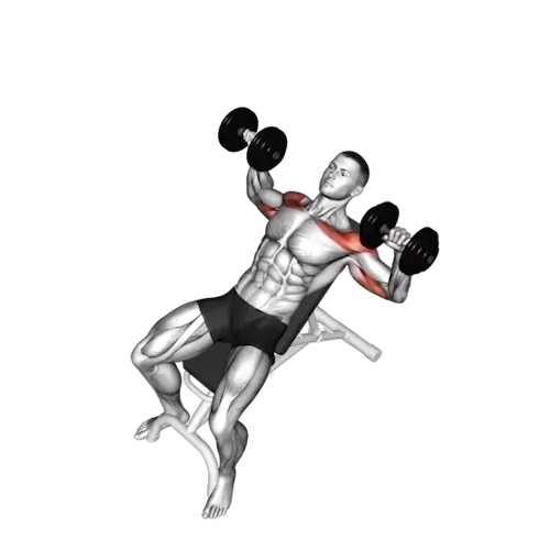 Illustration of a human figure performing an incline dumbbell press. The figure is lying back on an inclined bench, with feet planted on the ground for stability. Both arms are pushing dumbbells upwards at an angle corresponding to the incline of the bench. Muscles in the chest, shoulders, and arms are highlighted in red to show the primary areas targeted by this exercise
