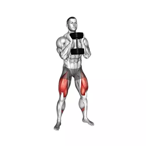 Illustration of a human figure standing with feet shoulder-width apart, performing a goblet squat. The individual is holding a dumbbell vertically with both hands close to the chest. The figure is in the lowered squat position with thighs parallel to the floor. Muscles in the thighs and glutes are highlighted in red, indicating the primary muscle groups engaged during this full-body squatting exercise