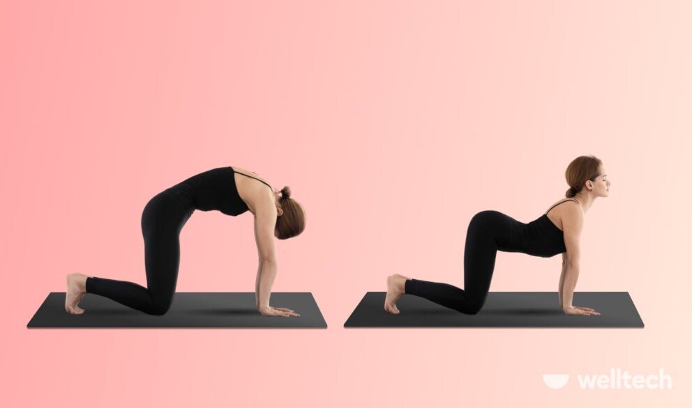 a woman is practicing yoga, doing cat and cow_yoga for period cramps